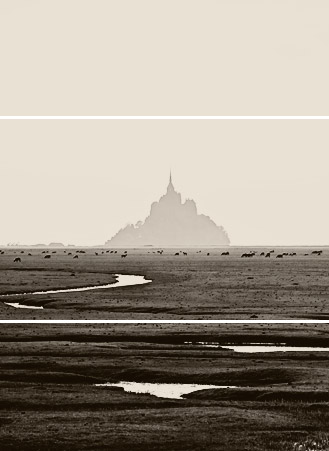 nachhaltiges_nachhaltiges_web_design_ruppert
